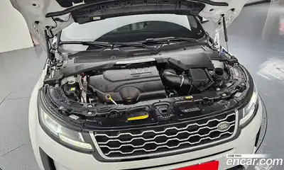Land Rover Range-Rover Evoque 2022 2.0 гидро в Москве № 1619454, миниатюра 6