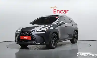 Lexus NX, 2024