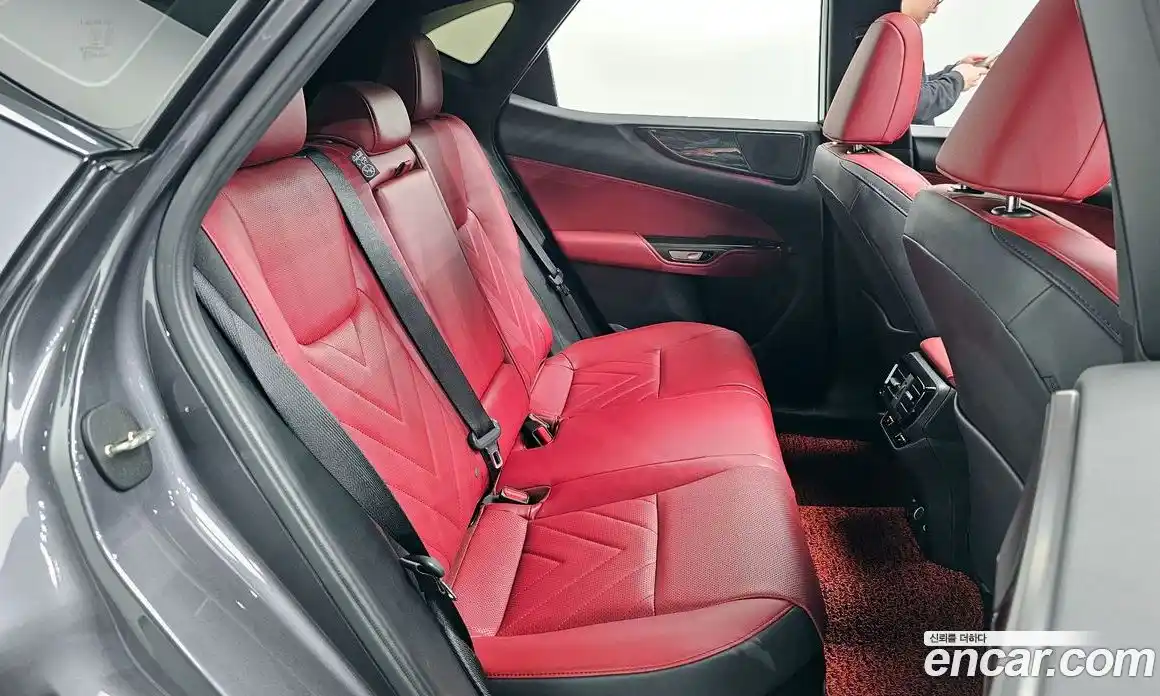 Lexus NX 2024 2.5 гидро в Москве № 1423955, фото 17