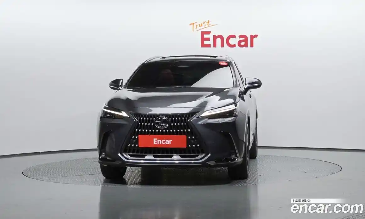Lexus NX 2024 2.5 гидро в Москве № 1423955, фото 3