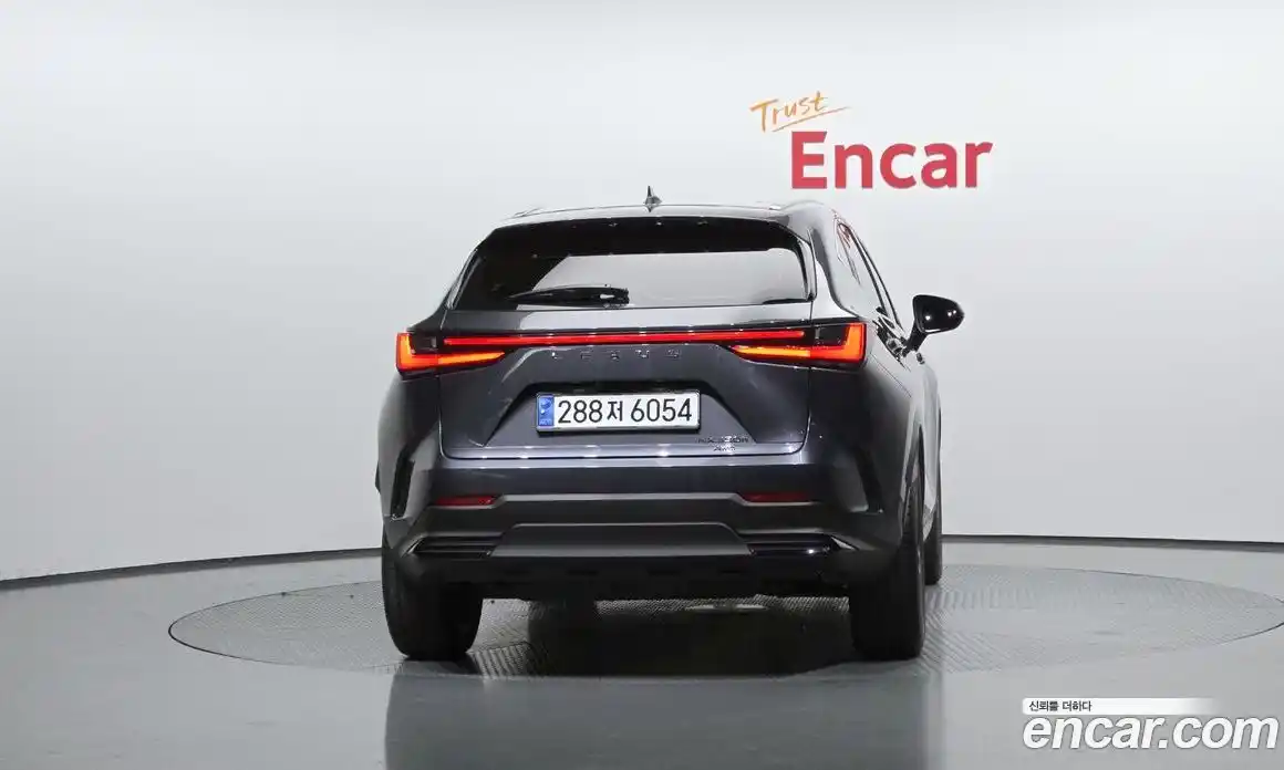 Lexus NX 2024 2.5 гидро в Москве № 1423955, фото 4
