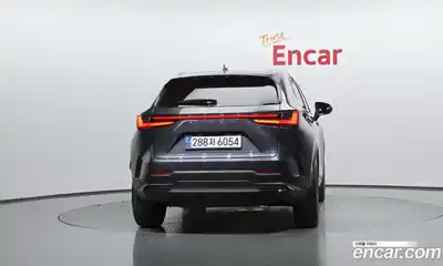 Lexus NX 2024 2.5 гидро в Москве № 1423955, миниатюра 4