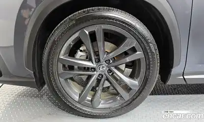 Lexus NX 2024 2.5 гидро в Москве № 1423955, миниатюра 5
