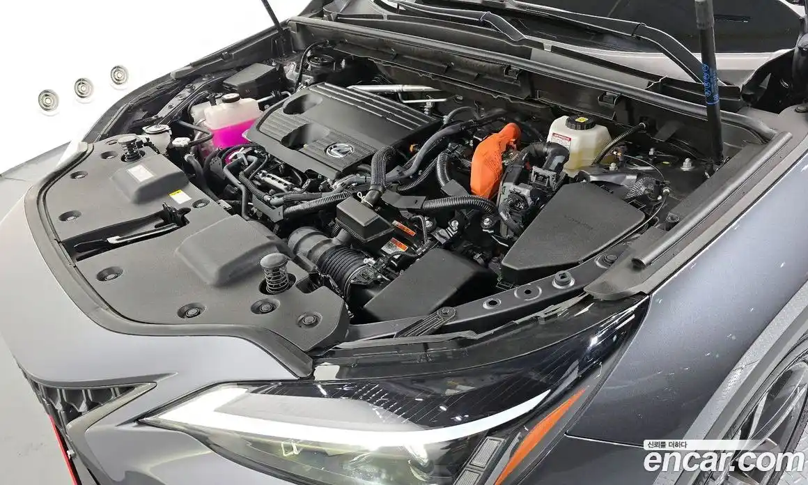 Lexus NX 2024 2.5 гидро в Москве № 1423955, фото 6