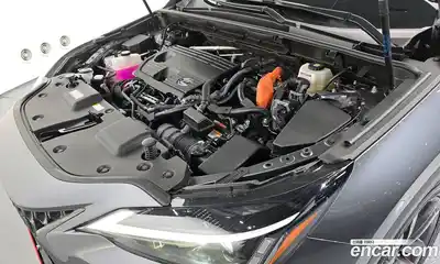 Lexus NX 2024 2.5 гидро в Москве № 1423955, миниатюра 6