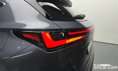 Lexus NX 2024 2.5 гидро в Москве № 1423955, миниатюра 9