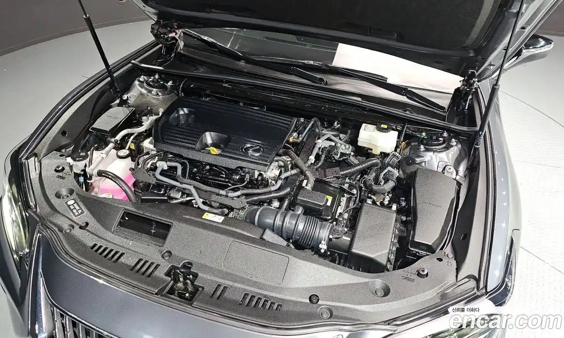 Lexus ES 2024 2.5 гидро в Москве № 1837916, фото 6