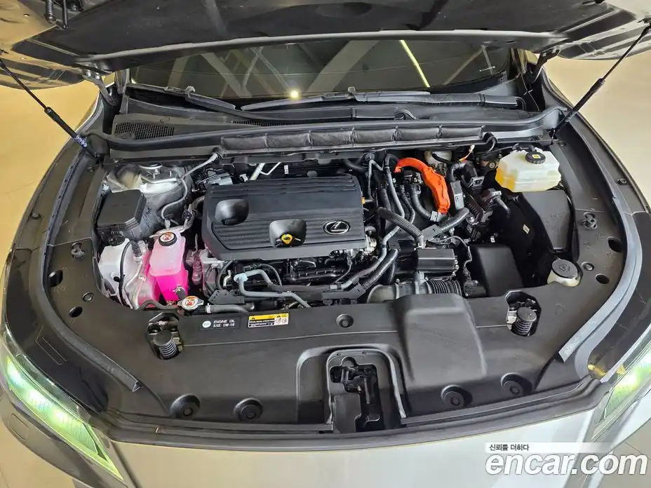 Lexus RX 2023 2.5 вариатор в Москве № 1837996, фото 6