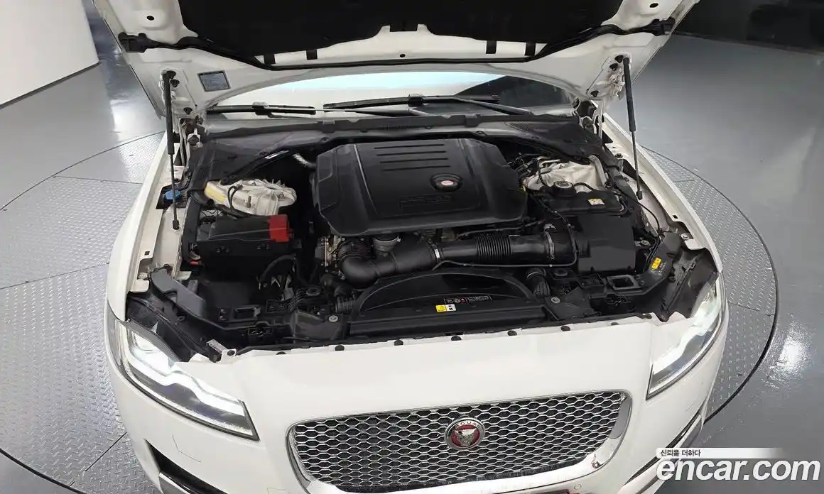Jaguar XF 2018 2.0 гидро в Москве № 1840477, фото 6