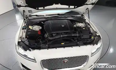 Jaguar XF 2018 2.0 гидро в Москве № 1840477, миниатюра 6