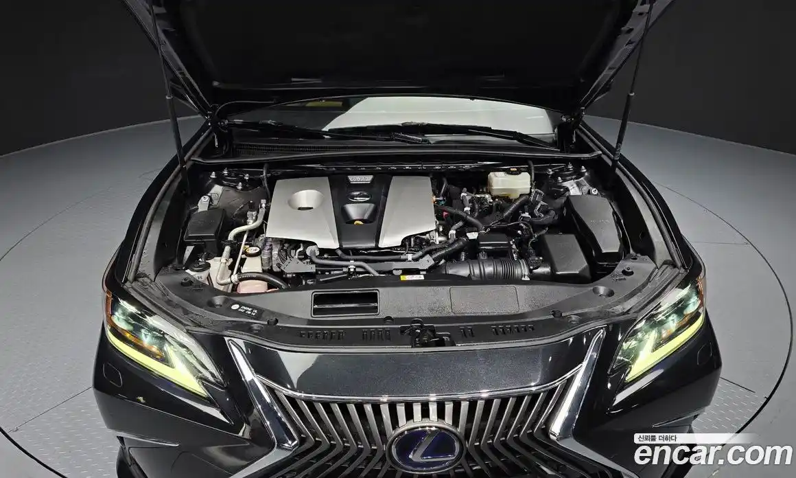 Lexus ES 2019 2.5 гидро в Москве № 1405389, фото 6