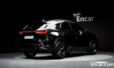 Lexus NX 2024 2.5 гидро в Москве № 1423957, миниатюра 2