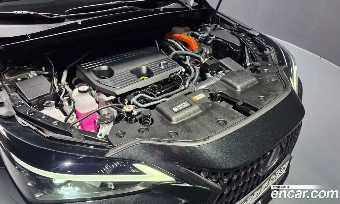 Lexus NX 2024 2.5 гидро в Москве № 1423957, фото 6