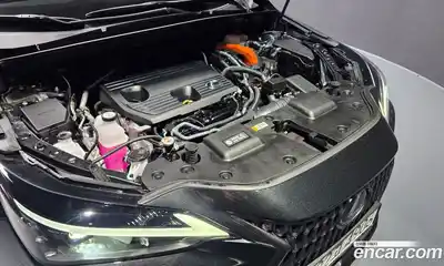 Lexus NX 2024 2.5 гидро в Москве № 1423957, миниатюра 6