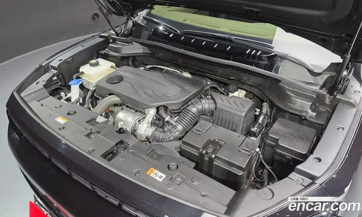 SsangYong Actyon 2024 1.5 гидро в Москве № 1612378, фото 6