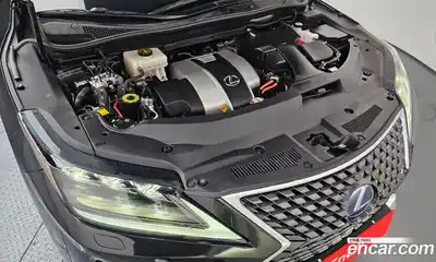 Lexus RX 2022 3.5 гидро в Москве № 1764944, миниатюра 6