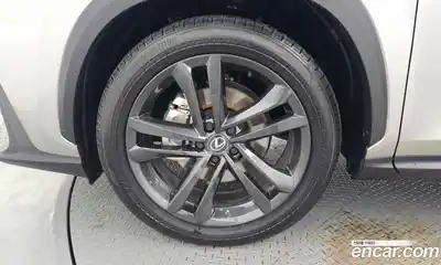 Lexus NX 2023 2.5 гидро в Москве № 1837920, миниатюра 5