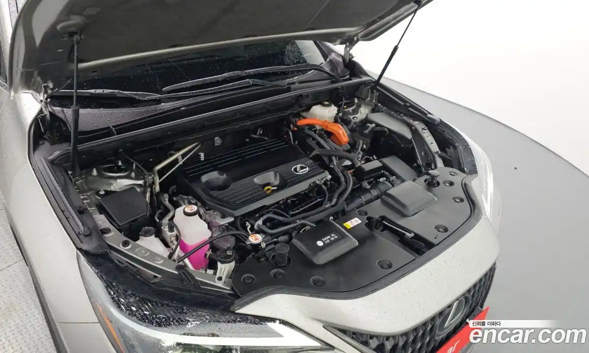 Lexus NX 2023 2.5 гидро в Москве № 1837920, фото 6
