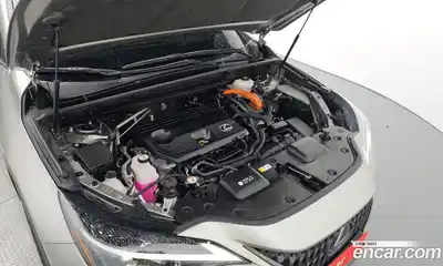 Lexus NX 2023 2.5 гидро в Москве № 1837920, миниатюра 6
