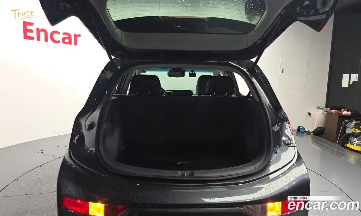 Chevrolet Bolt EV 2018 0.2 гидро в Москве № 1401285, фото 29