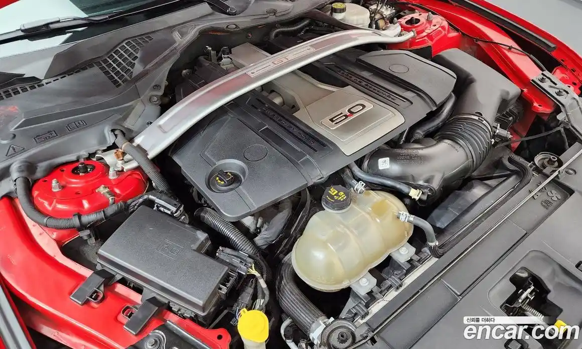 Ford Mustang 2019 5.0 гидро в Москве № 1696832, фото 6
