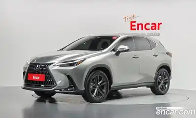 Lexus NX, 2025
