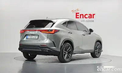 Lexus NX 2025 2.5 гидро в Москве № 168007, миниатюра 2