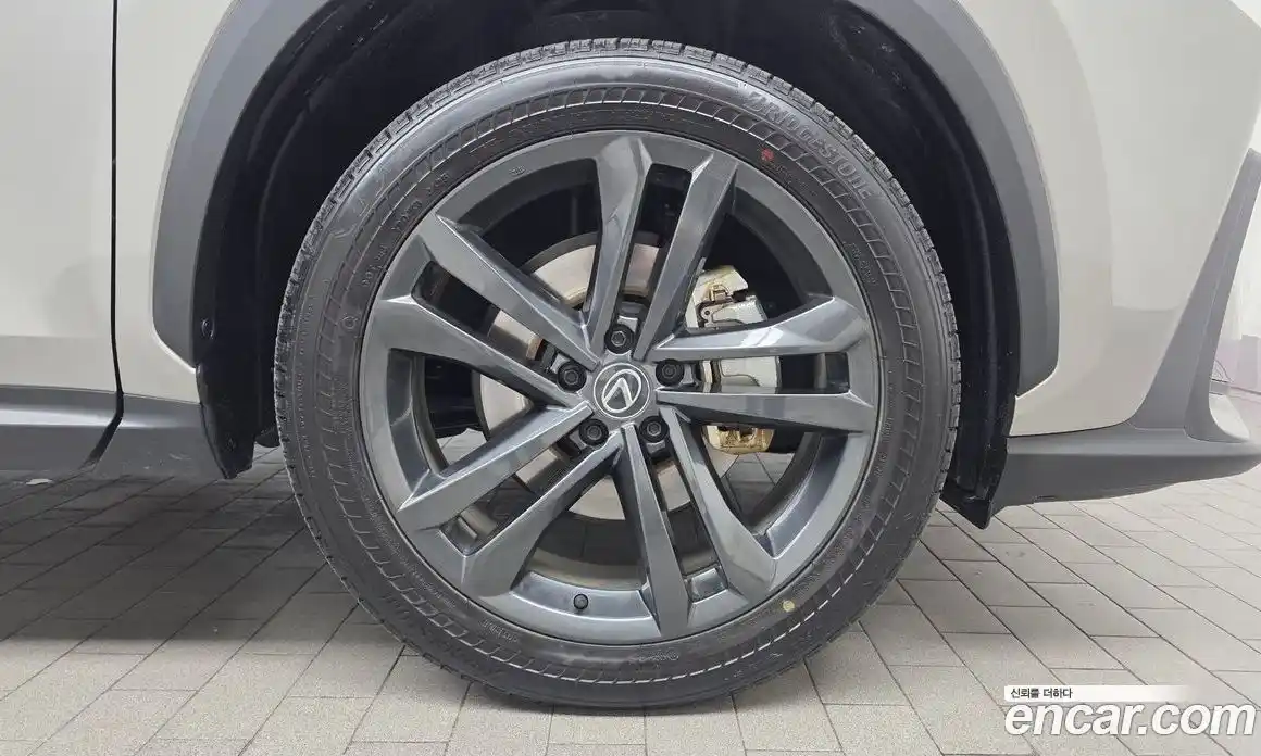 Lexus NX 2025 2.5 гидро в Москве № 168007, фото 5