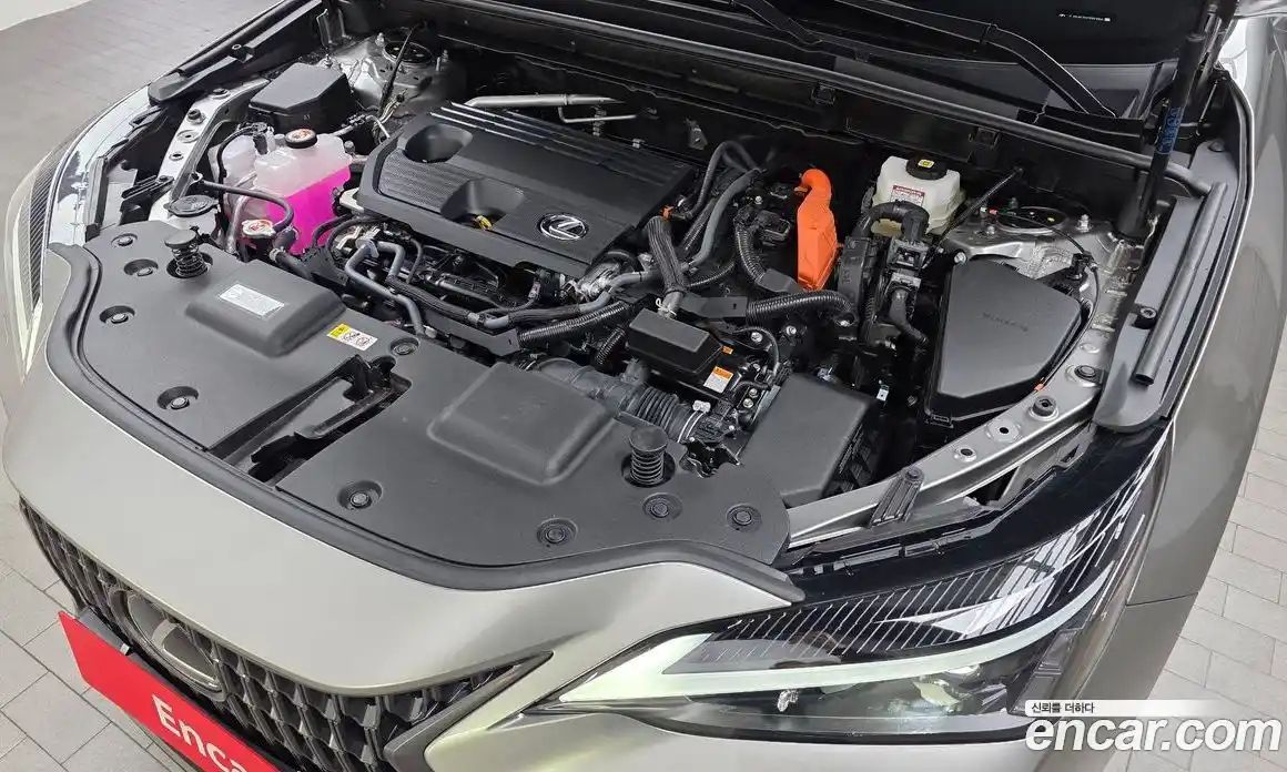 Lexus NX 2025 2.5 гидро в Москве № 168007, фото 6