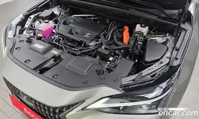 Lexus NX 2025 2.5 гидро в Москве № 168007, миниатюра 6