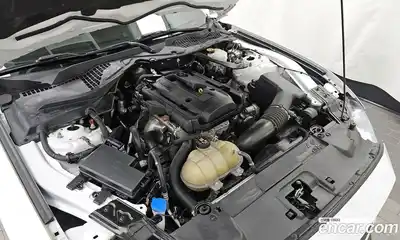 Ford Mustang 2021 2.3 гидро в Москве № 1324056, миниатюра 6