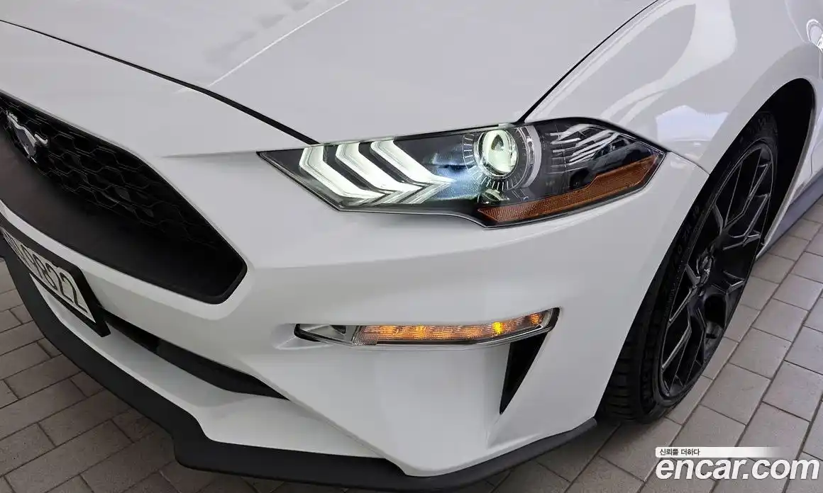 Ford Mustang 2022 2.3 гидро в Москве № 1624908, фото 8
