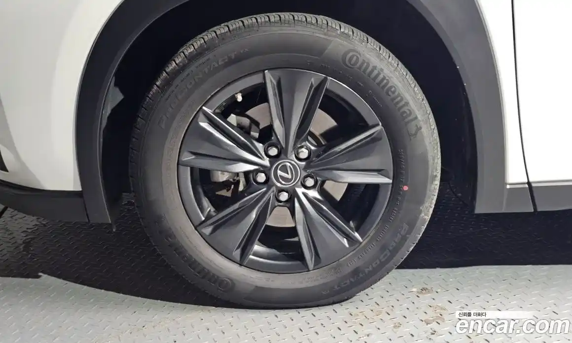 Lexus UX 2024 2.0 гидро в Москве № 168105, фото 5