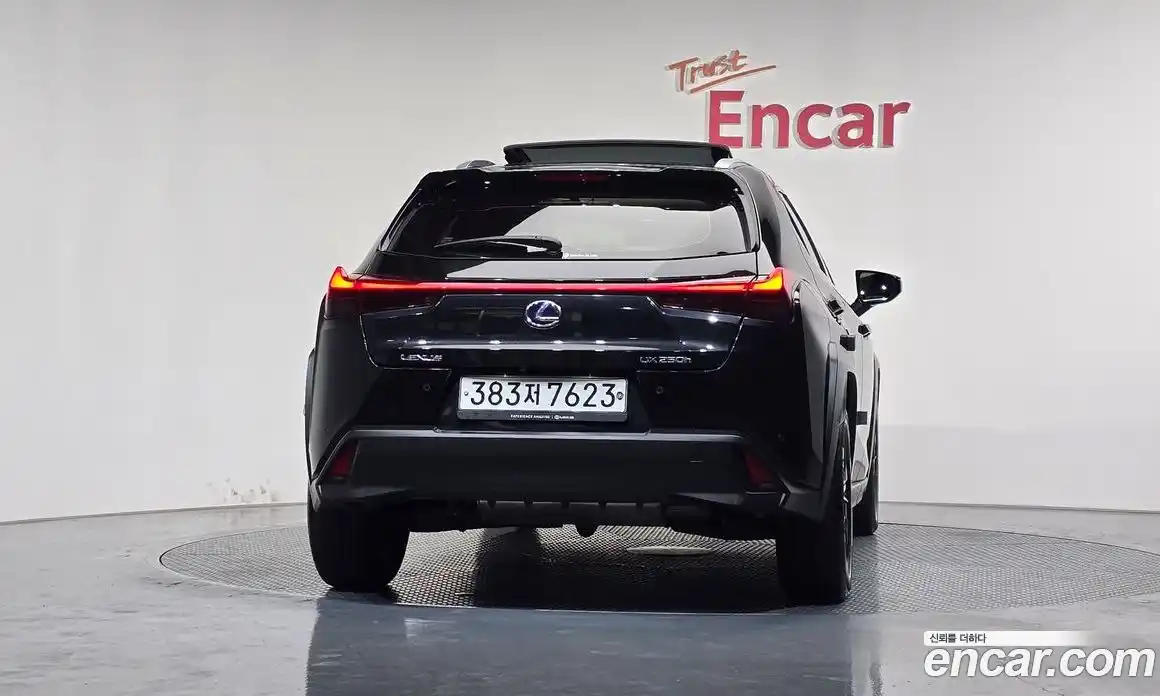 Lexus UX 2020 2.0 гидро в Москве № 1764894, фото 4