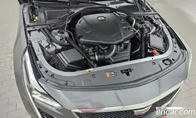 Cadillac CT6 2019 3.6 гидро в Москве № 1406551, миниатюра 6