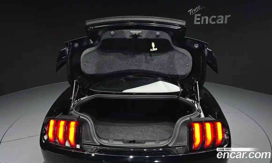 Ford Mustang 2018 2.3 гидро в Москве № 1838708, фото 26