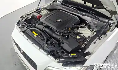 Jaguar XF 2019 2.0 гидро в Москве № 976530, миниатюра 5