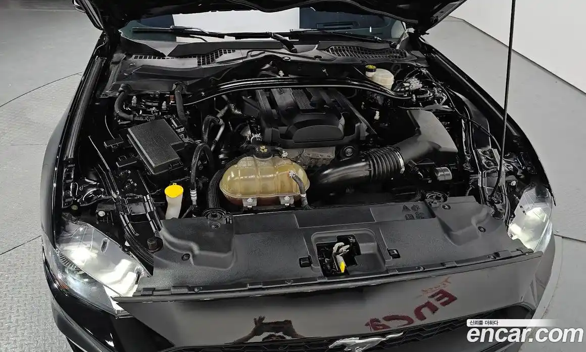 Ford Mustang 2019 2.3 гидро в Москве № 1323964, фото 6