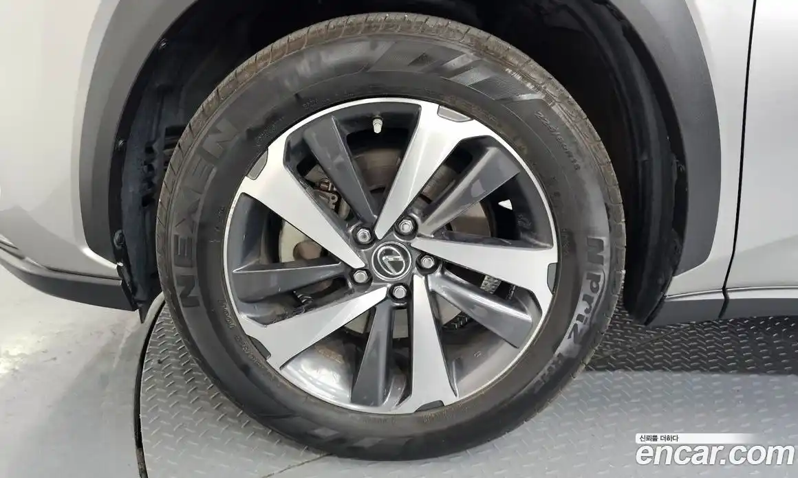 Lexus NX 2018 2.5 гидро в Москве № 1622832, фото 5