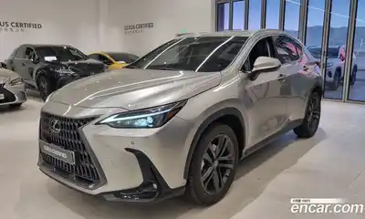 Lexus NX, 2025