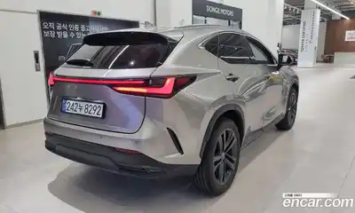 Lexus NX 2025 2.5 вариатор в Москве № 1837991, миниатюра 2