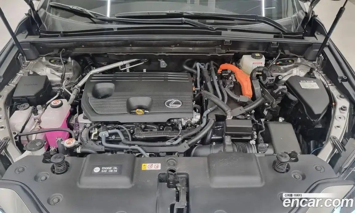 Lexus NX 2025 2.5 вариатор в Москве № 1837991, фото 6