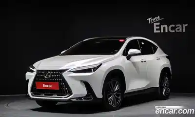 Lexus NX, 2024