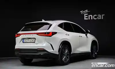 Lexus NX 2024 2.5 гидро в Москве № 1837917, миниатюра 2
