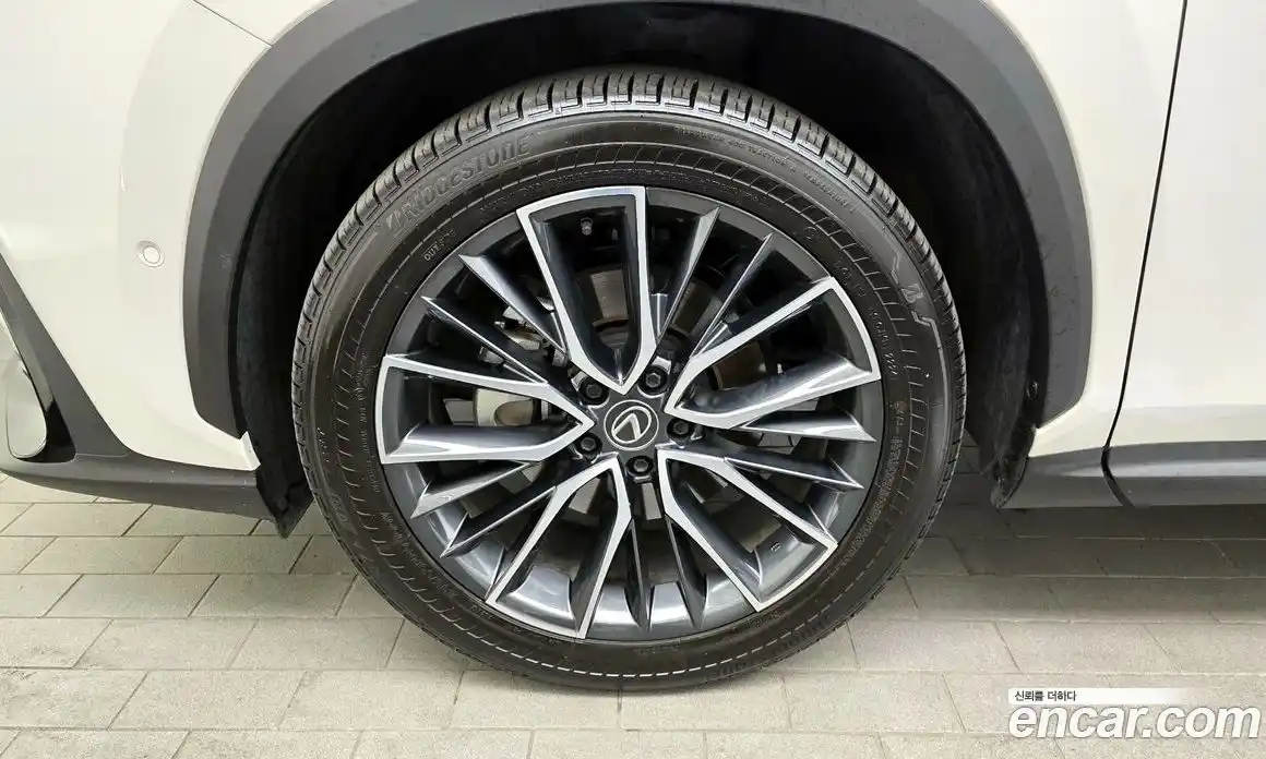 Lexus NX 2024 2.5 гидро в Москве № 1837917, фото 5