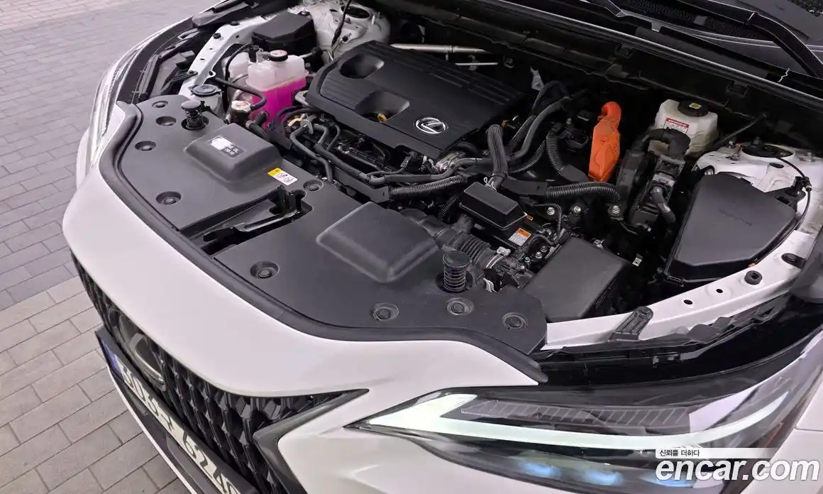 Lexus NX 2024 2.5 гидро в Москве № 1837917, фото 6