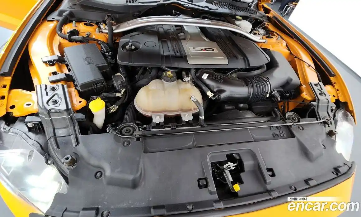 Ford Mustang 2019 5.0 гидро в Москве № 1838702, фото 6