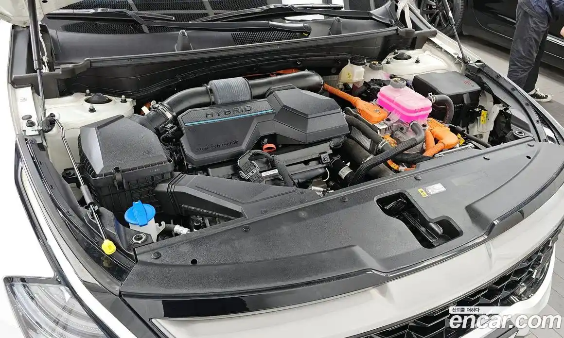 Kia Sportage 2023 1.6 гидро в Москве № 1538495, фото 6