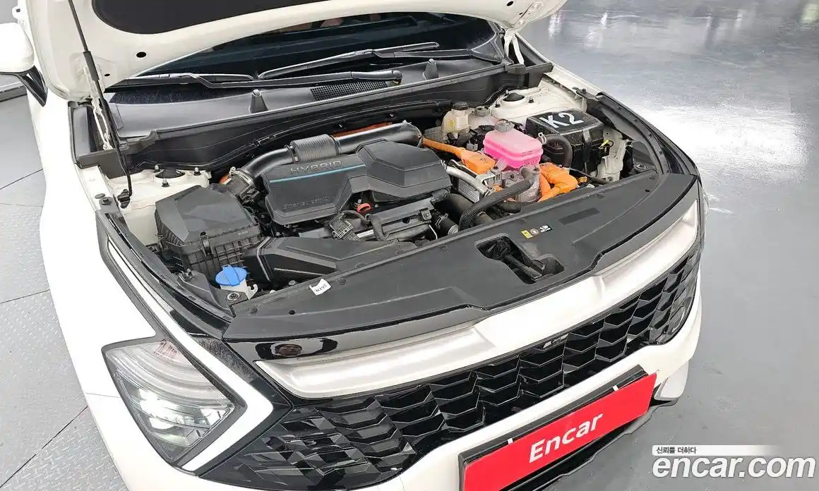 Kia Sportage 2024 1.6 гидро в Москве № 1538294, фото 6