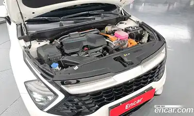 Kia Sportage 2024 1.6 гидро в Москве № 1538294, миниатюра 6